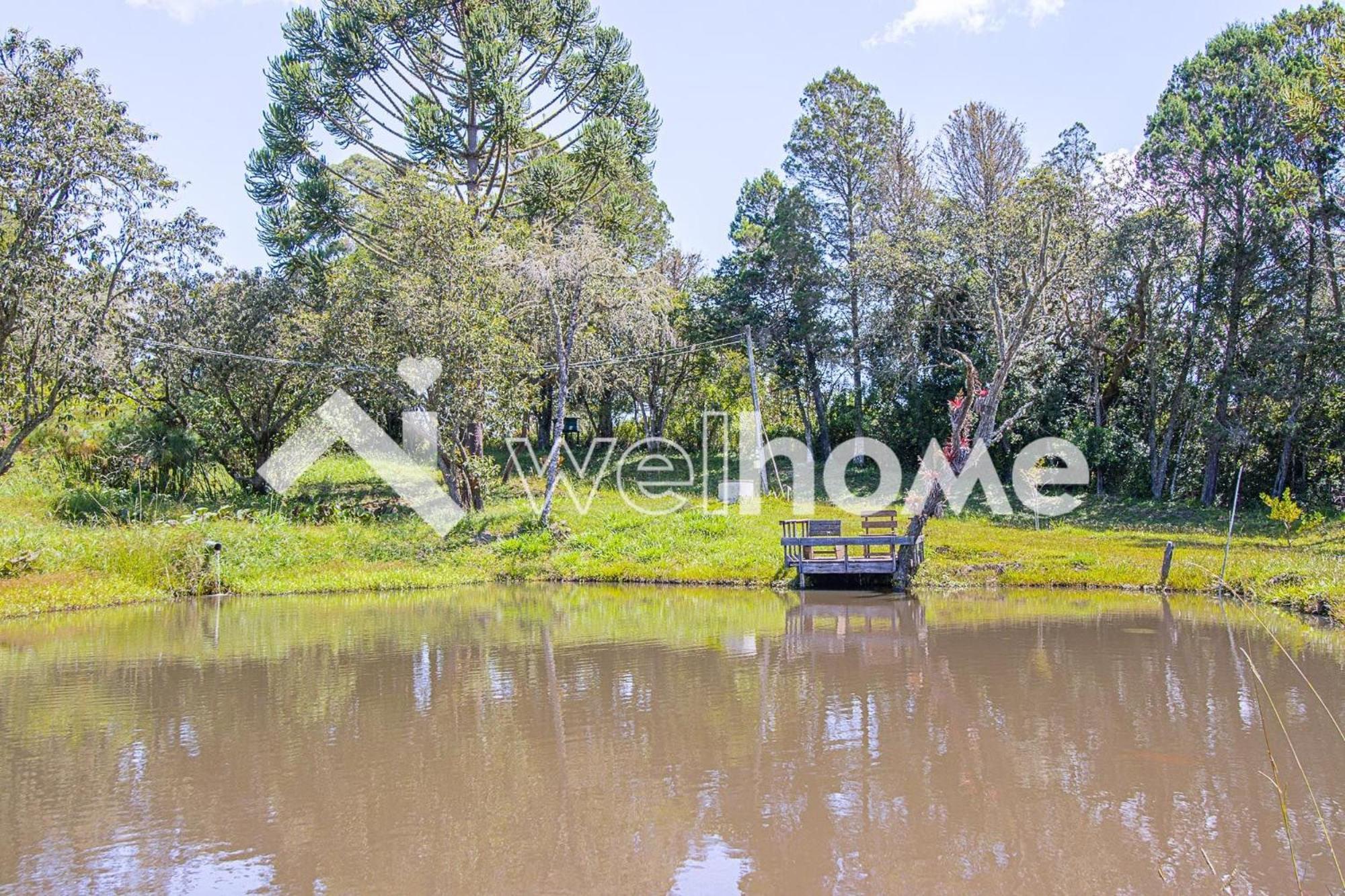 Casa De Campo Em Regiao Serrana De Cunha - Sp. Exteriér fotografie